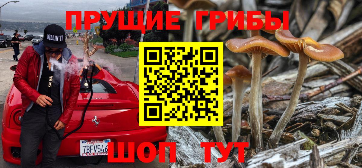 Галлюциногенные грибы Magic Shrooms Тобольск