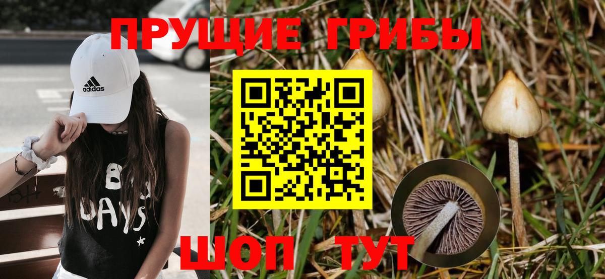 Псилоцибиновые грибы мухоморы  Галлюциногенные грибы ЛСД  где купить наркотик  Вход с VPN  Тобольск 